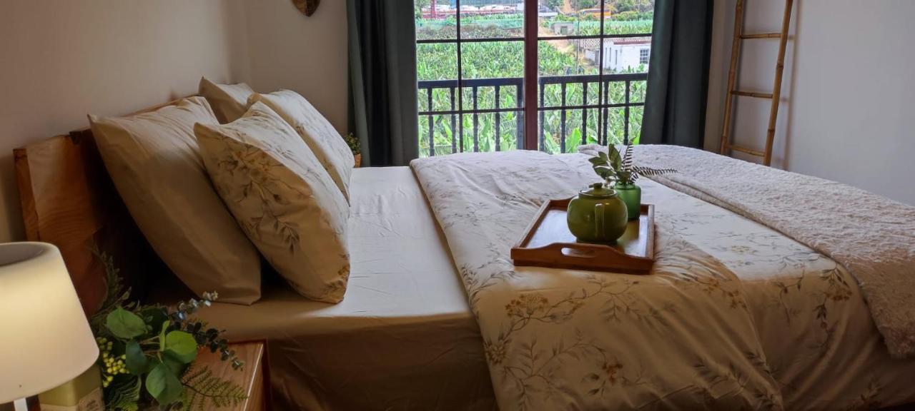 Апартаменты Casa Banana Sunset Санта-Крус-де-Тенерифе Экстерьер фото